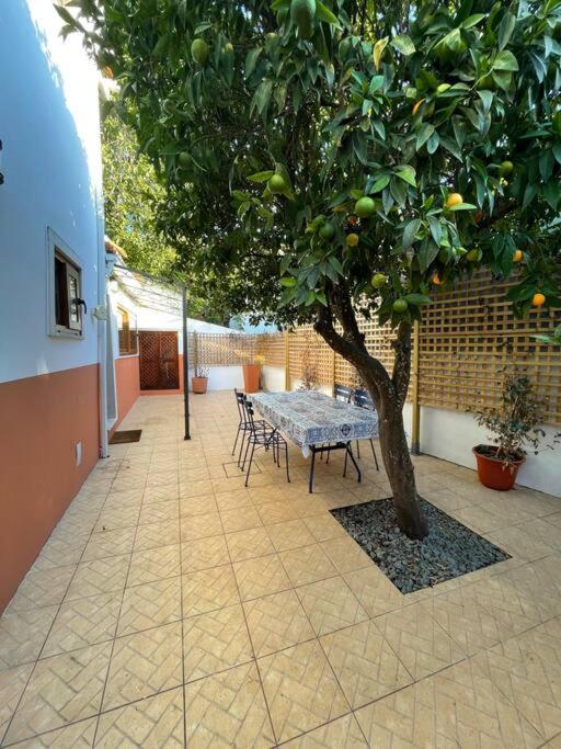 Apartament Casa Da Fonte Condeixa-a-Velha Zewnętrze zdjęcie